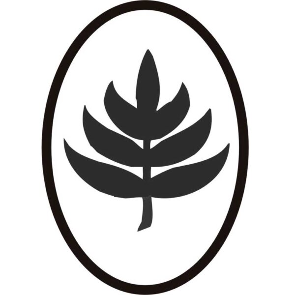 Gesundheitslogo-Gesundheit-Logo-Chi-Sana