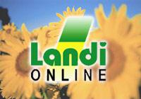 logo-landi-online